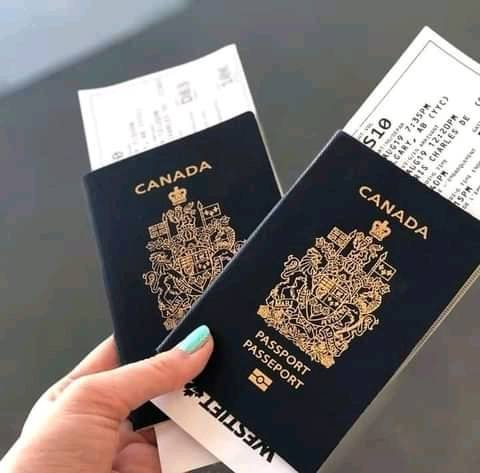 buy Genuine PTE, TOEFL, OET, IELTS, NCLEX, TOEIC, CELPIP, PMP certificates , Passport, Residence Permits, ID Cards, Drivers License online
